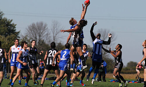 10679970_852294604783775_5609814322448943039_o