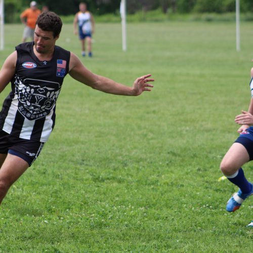 Magpies Soaring in 2016